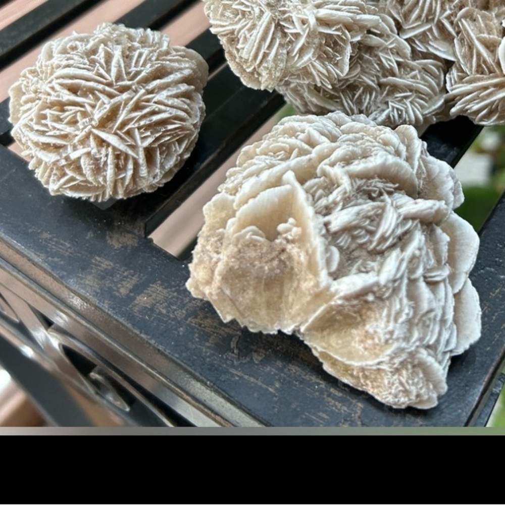 Desert Rose Selenite Specimens Collector Pieces (2)